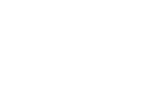Spinmatic
