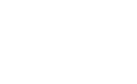 Dlv